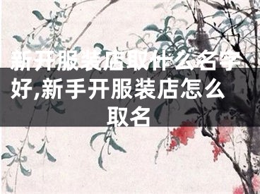新开服装店取什么名字好,新手开服装店怎么取名