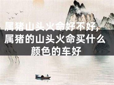 属猪山头火命好不好,属猪的山头火命买什么颜色的车好