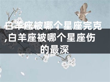 白羊座被哪个星座完克,白羊座被哪个星座伤的最深