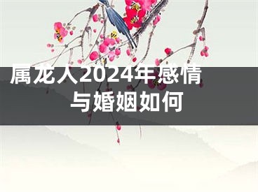 属龙人2024年感情与婚姻如何