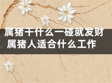 属猪干什么一碰就发财 属猪人适合什么工作