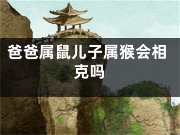 爸爸属鼠儿子属猴会相克吗