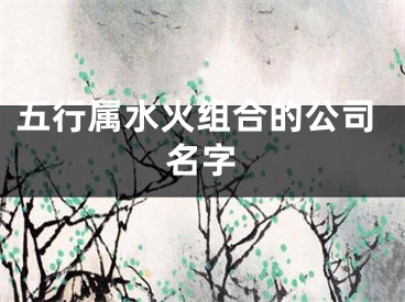 五行属水火组合的公司名字