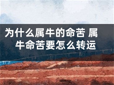 为什么属牛的命苦 属牛命苦要怎么转运