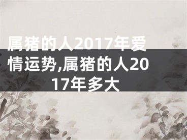 属猪的人2017年爱情运势,属猪的人2017年多大