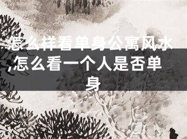 怎么样看单身公寓风水,怎么看一个人是否单身