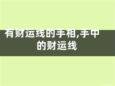 有财运线的手相,手中的财运线