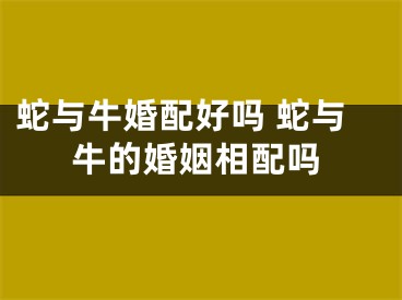 蛇与牛婚配好吗 蛇与牛的婚姻相配吗