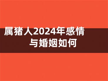 属猪人2024年感情与婚姻如何