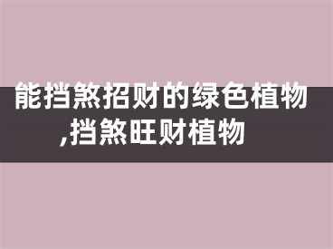 能挡煞招财的绿色植物,挡煞旺财植物