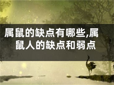 属鼠的缺点有哪些,属鼠人的缺点和弱点