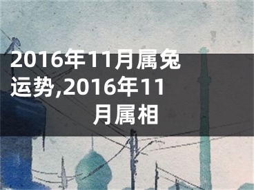 2016年11月属兔运势,2016年11月属相