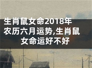 生肖鼠女命2018年农历六月运势,生肖鼠女命运好不好