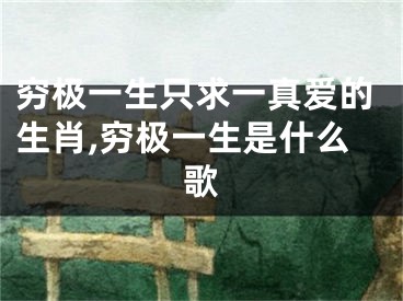 穷极一生只求一真爱的生肖,穷极一生是什么歌