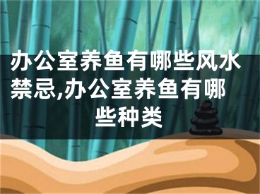 办公室养鱼有哪些风水禁忌,办公室养鱼有哪些种类