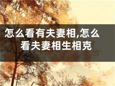怎么看有夫妻相,怎么看夫妻相生相克