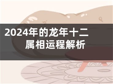 2024年的龙年十二属相运程解析