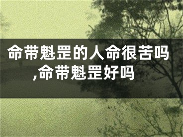 命带魁罡的人命很苦吗,命带魁罡好吗