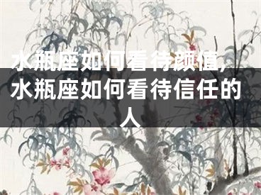 水瓶座如何看待颜值,水瓶座如何看待信任的人