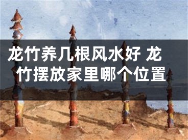 龙竹养几根风水好 龙竹摆放家里哪个位置