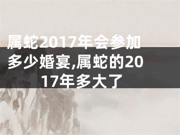 属蛇2017年会参加多少婚宴,属蛇的2017年多大了