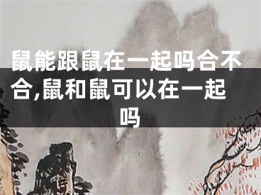 鼠能跟鼠在一起吗合不合,鼠和鼠可以在一起吗