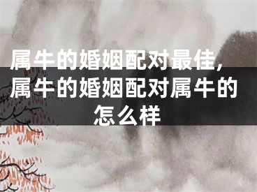 属牛的婚姻配对最佳,属牛的婚姻配对属牛的怎么样