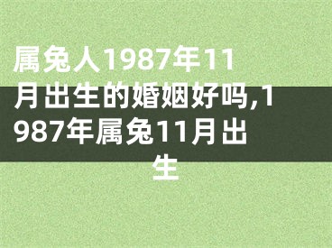 属兔人1987年11月出生的婚姻好吗,1987年属兔11月出生
