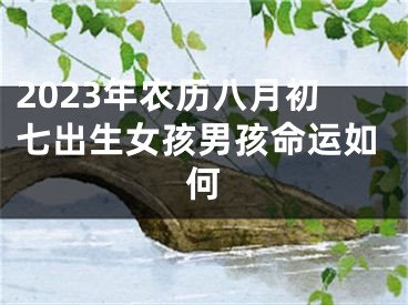 2023年农历八月初七出生女孩男孩命运如何