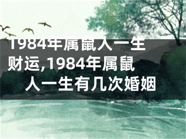 1984年属鼠人一生财运,1984年属鼠人一生有几次婚姻