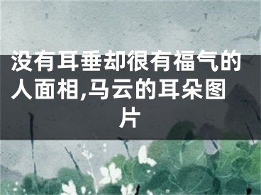 没有耳垂却很有福气的人面相,马云的耳朵图片