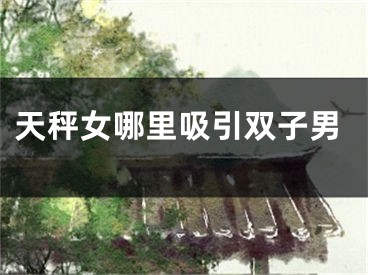 天秤女哪里吸引双子男