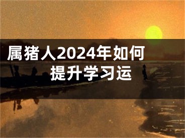 属猪人2024年如何提升学习运