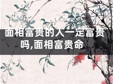 面相富贵的人一定富贵吗,面相富贵命