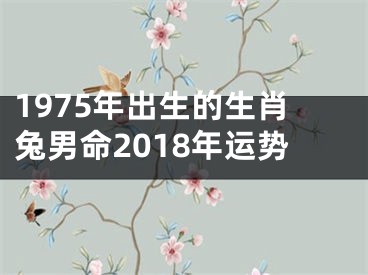 1975年出生的生肖兔男命2018年运势