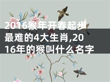 2016猴年开春起步最难的4大生肖,2016年的猴叫什么名字