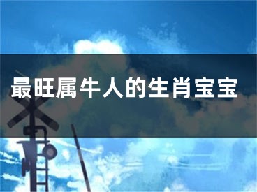 最旺属牛人的生肖宝宝