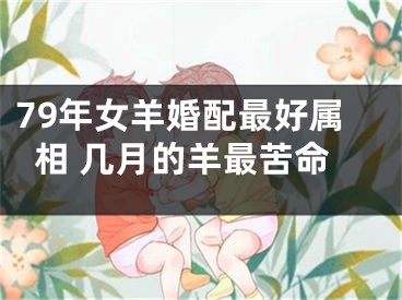 79年女羊婚配最好属相 几月的羊最苦命