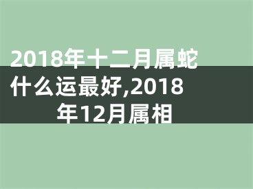 2018年十二月属蛇什么运最好,2018年12月属相
