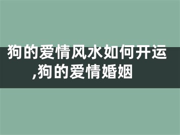 狗的爱情风水如何开运,狗的爱情婚姻