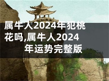 属牛人2024年犯桃花吗,属牛人2024年运势完整版