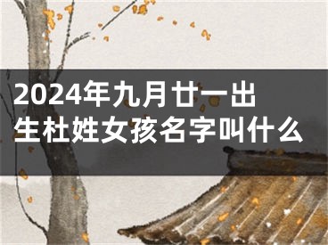 2024年九月廿一出生杜姓女孩名字叫什么