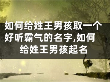 如何给姓王男孩取一个好听霸气的名字,如何给姓王男孩起名
