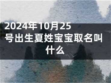 2024年10月25号出生夏姓宝宝取名叫什么