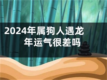2024年属狗人遇龙年运气很差吗
