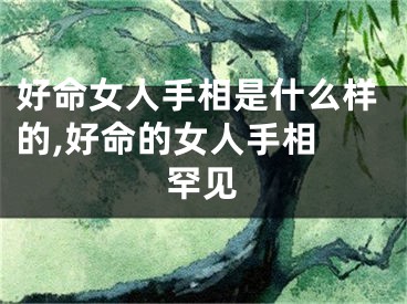好命女人手相是什么样的,好命的女人手相 罕见