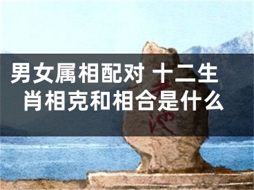 男女属相配对 十二生肖相克和相合是什么