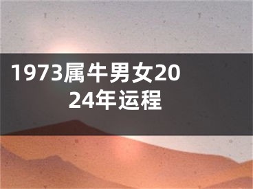 1973属牛男女2024年运程