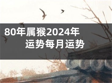80年属猴2024年运势每月运势