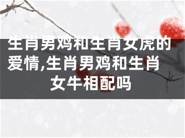 生肖男鸡和生肖女虎的爱情,生肖男鸡和生肖女牛相配吗